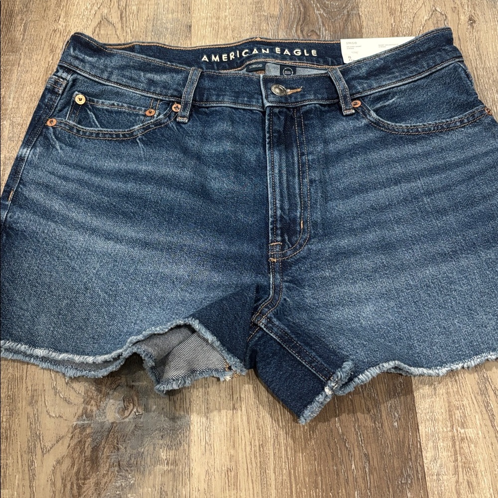 American Eagle Outfitters Blue Jean Shorts